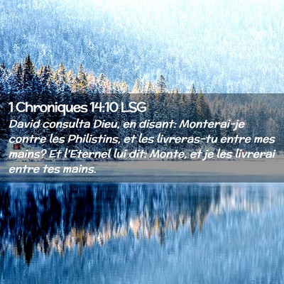 Picture 02 - 1 Chroniques 14:10 LSG - David consulta Dieu, en disant: Monterai-je - Bible Verse Picture
