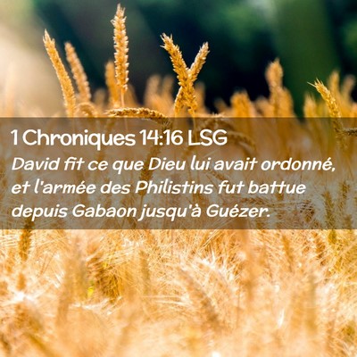 Picture 02 - 1 Chroniques 14:16 LSG - David fit ce que Dieu lui avait ordonné, et - Bible Verse Picture