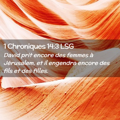 Picture 02 - 1 Chroniques 14:3 LSG - David prit encore des femmes à Jérusalem, et il - Bible Verse Picture