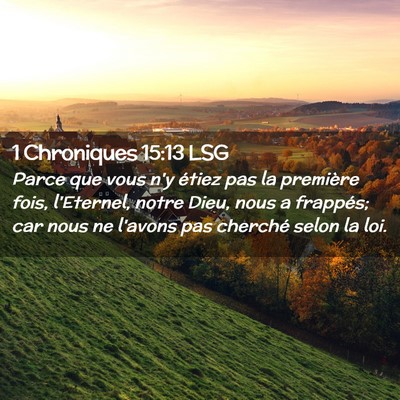 Picture 02 - 1 Chroniques 15:13 LSG - Parce que vous n'y étiez pas la première fois, - Bible Verse Picture