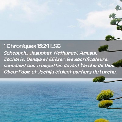 Picture 02 - 1 Chroniques 15:24 LSG - Schebania, Josaphat, Nethaneel, Amasaï, - Bible Verse Picture