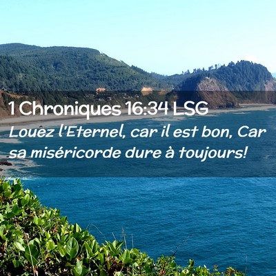 Picture 02 - 1 Chroniques 16:34 LSG - Louez l'Eternel, car il est bon, Car sa - Bible Verse Picture
