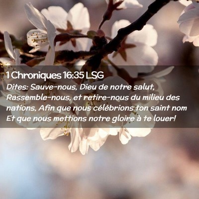 Picture 02 - 1 Chroniques 16:35 LSG - Dites: Sauve-nous, Dieu de notre salut, - Bible Verse Picture