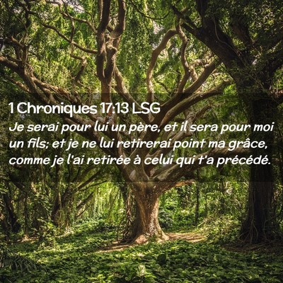 Picture 02 - 1 Chroniques 17:13 LSG - Je serai pour lui un père, et il sera pour moi - Bible Verse Picture