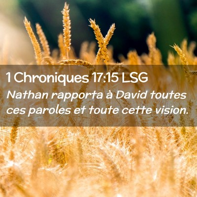 Picture 02 - 1 Chroniques 17:15 LSG - Nathan rapporta à David toutes ces paroles et - Bible Verse Picture
