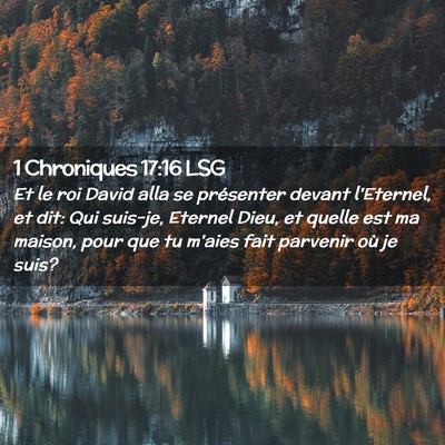 Picture 02 - 1 Chroniques 17:16 LSG - Et le roi David alla se présenter devant - Bible Verse Picture