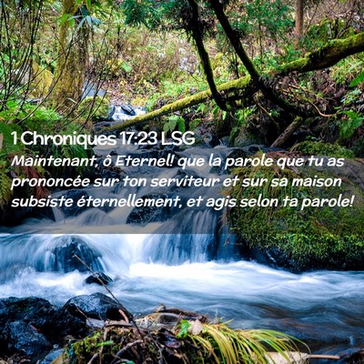 Picture 02 - 1 Chroniques 17:23 LSG - Maintenant, ô Eternel! que la parole que tu as - Bible Verse Picture