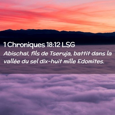 Picture 02 - 1 Chroniques 18:12 LSG - Abischaï, fils de Tseruja, battit dans la - Bible Verse Picture