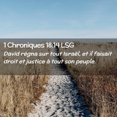 Picture 02 - 1 Chroniques 18:14 LSG - David régna sur tout Israël, et il faisait - Bible Verse Picture
