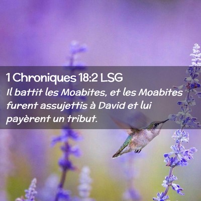 Picture 02 - 1 Chroniques 18:2 LSG - Il battit les Moabites, et les Moabites furent - Bible Verse Picture