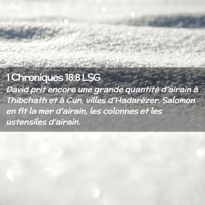 Picture 02 - 1 Chroniques 18:8 LSG - David prit encore une grande quantité d'airain - Bible Verse Picture