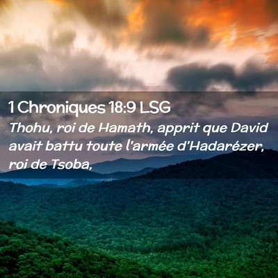 Picture 02 - 1 Chroniques 18:9 LSG - Thohu, roi de Hamath, apprit que David avait - Bible Verse Picture