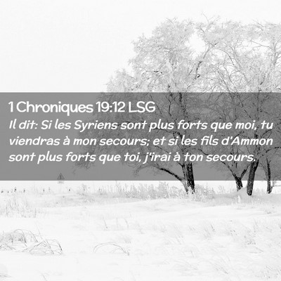 Picture 02 - 1 Chroniques 19:12 LSG - Il dit: Si les Syriens sont plus forts que moi, - Bible Verse Picture