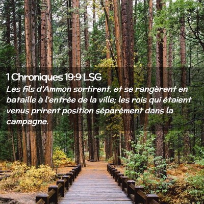 Picture 02 - 1 Chroniques 19:9 LSG - Les fils d'Ammon sortirent, et se rangèrent en - Bible Verse Picture