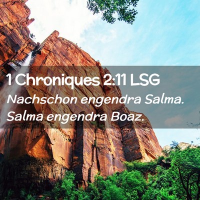Picture 02 - 1 Chroniques 2:11 LSG - Nachschon engendra Salma. Salma engendra - Bible Verse Picture