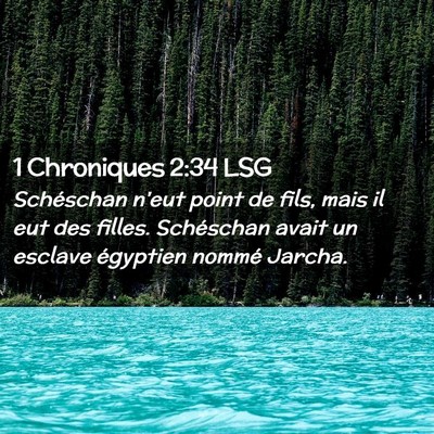 Picture 02 - 1 Chroniques 2:34 LSG - Schéschan n'eut point de fils, mais il eut des - Bible Verse Picture