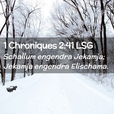 Picture 02 - 1 Chroniques 2:41 LSG - Schallum engendra Jekamja; Jekamja engendra - Bible Verse Picture