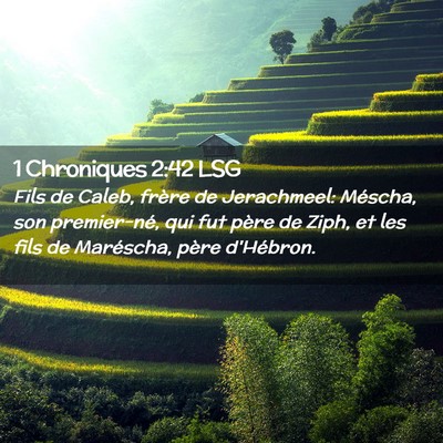 Picture 02 - 1 Chroniques 2:42 LSG - Fils de Caleb, frère de Jerachmeel: Méscha, son - Bible Verse Picture