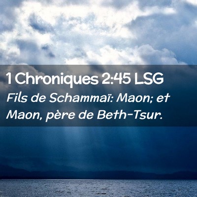 Picture 02 - 1 Chroniques 2:45 LSG - Fils de Schammaï: Maon; et Maon, père de - Bible Verse Picture