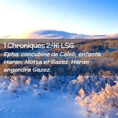 Picture 02 - 1 Chroniques 2:46 LSG - Epha, concubine de Caleb, enfanta Haran, Motsa et - Bible Verse Picture