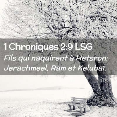 Picture 02 - 1 Chroniques 2:9 LSG - Fils qui naquirent à Hetsron: Jerachmeel, Ram et - Bible Verse Picture