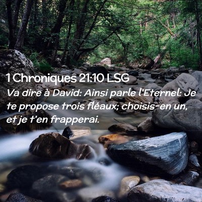 Picture 02 - 1 Chroniques 21:10 LSG - Va dire à David: Ainsi parle l'Eternel: Je te - Bible Verse Picture