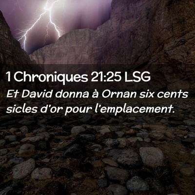 Picture 02 - 1 Chroniques 21:25 LSG - Et David donna à Ornan six cents sicles d'or - Bible Verse Picture