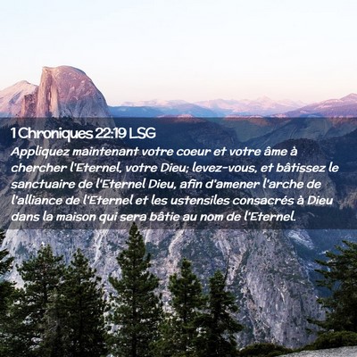 Picture 02 - 1 Chroniques 22:19 LSG - Appliquez maintenant votre coeur et votre âme à - Bible Verse Picture
