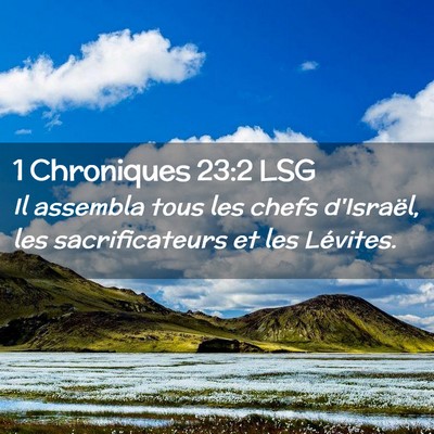 Picture 02 - 1 Chroniques 23:2 LSG - Il assembla tous les chefs d'Israël, les - Bible Verse Picture