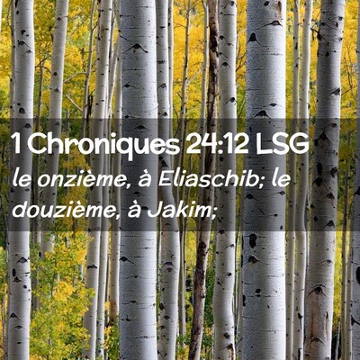 Picture 02 - 1 Chroniques 24:12 LSG - le onzième, à Eliaschib; le douzième, à - Bible Verse Picture