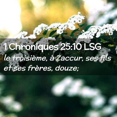 Picture 02 - 1 Chroniques 25:10 LSG - le troisième, à Zaccur, ses fils et ses - Bible Verse Picture