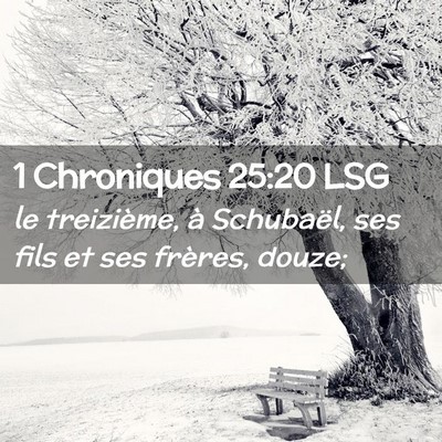 Picture 02 - 1 Chroniques 25:20 LSG - le treizième, à Schubaël, ses fils et ses - Bible Verse Picture