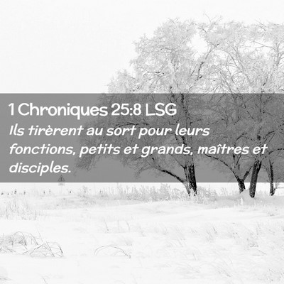 Picture 02 - 1 Chroniques 25:8 LSG - Ils tirèrent au sort pour leurs fonctions, - Bible Verse Picture