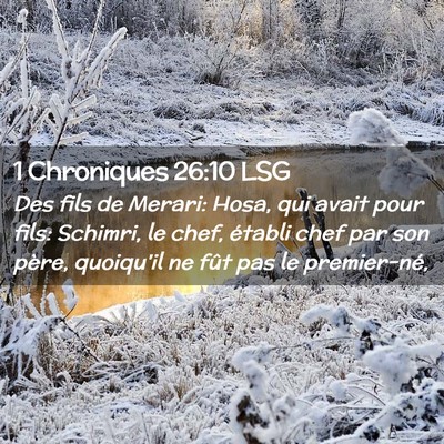 Picture 02 - 1 Chroniques 26:10 LSG - Des fils de Merari: Hosa, qui avait pour fils: - Bible Verse Picture