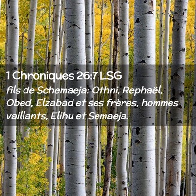 Picture 02 - 1 Chroniques 26:7 LSG - fils de Schemaeja: Othni, Rephaël, Obed, Elzabad - Bible Verse Picture