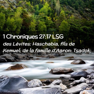 Picture 02 - 1 Chroniques 27:17 LSG - des Lévites: Haschabia, fils de Kemuel; de la - Bible Verse Picture