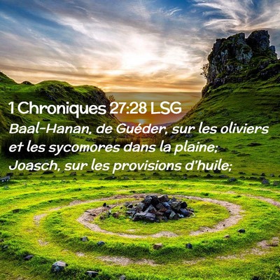 Picture 02 - 1 Chroniques 27:28 LSG - Baal-Hanan, de Guéder, sur les oliviers et les - Bible Verse Picture