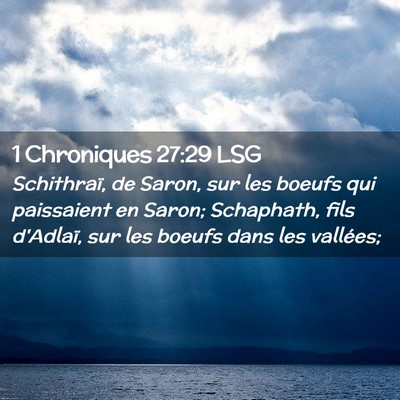 Picture 02 - 1 Chroniques 27:29 LSG - Schithraï, de Saron, sur les boeufs qui - Bible Verse Picture