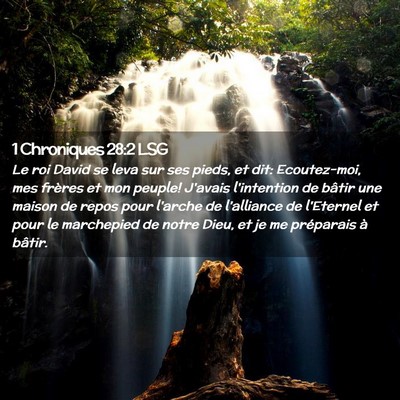 Picture 02 - 1 Chroniques 28:2 LSG - Le roi David se leva sur ses pieds, et dit: - Bible Verse Picture