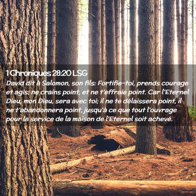 Picture 02 - 1 Chroniques 28:20 LSG - David dit à Salomon, son fils: Fortifie-toi, - Bible Verse Picture