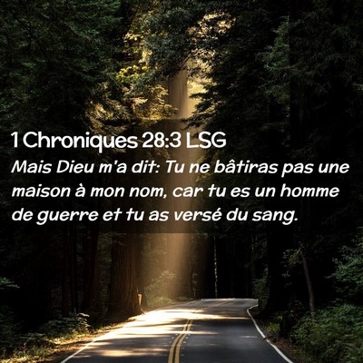 Picture 02 - 1 Chroniques 28:3 LSG - Mais Dieu m'a dit: Tu ne bâtiras pas une maison - Bible Verse Picture