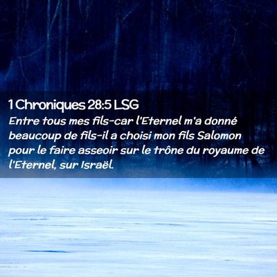 Picture 02 - 1 Chroniques 28:5 LSG - Entre tous mes fils-car l'Eternel m'a donné - Bible Verse Picture