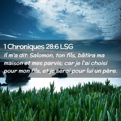 Picture 02 - 1 Chroniques 28:6 LSG - Il m'a dit: Salomon, ton fils, bâtira ma maison - Bible Verse Picture