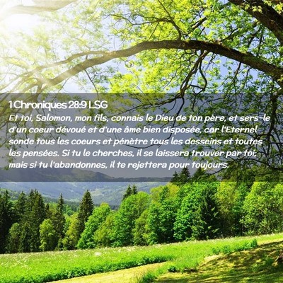 Picture 02 - 1 Chroniques 28:9 LSG - Et toi, Salomon, mon fils, connais le Dieu de ton - Bible Verse Picture