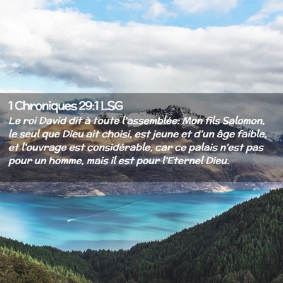 Picture 02 - 1 Chroniques 29:1 LSG - Le roi David dit à toute l'assemblée: Mon fils - Bible Verse Picture