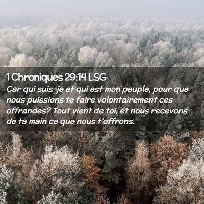 Picture 02 - 1 Chroniques 29:14 LSG - Car qui suis-je et qui est mon peuple, pour que - Bible Verse Picture