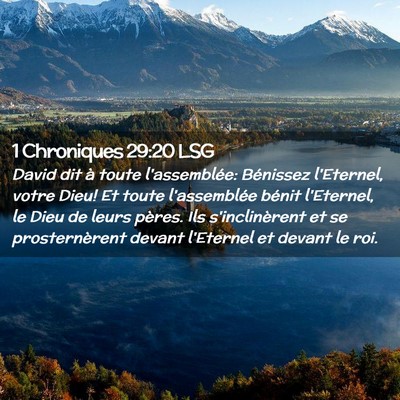 Picture 02 - 1 Chroniques 29:20 LSG - David dit à toute l'assemblée: Bénissez - Bible Verse Picture