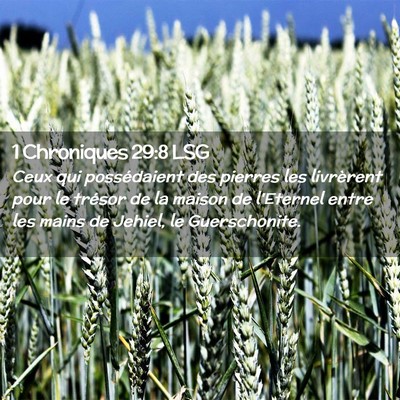 Picture 02 - 1 Chroniques 29:8 LSG - Ceux qui possédaient des pierres les livrèrent - Bible Verse Picture
