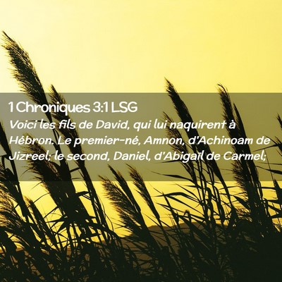 Picture 02 - 1 Chroniques 3:1 LSG - Voici les fils de David, qui lui naquirent à - Bible Verse Picture