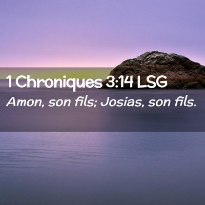 Picture 02 - 1 Chroniques 3:14 LSG - Amon, son fils; Josias, son - Bible Verse Picture